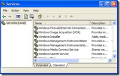 WindowsServices_NET_1.JPG